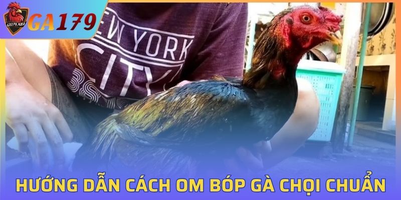 Trình tự thực hệ quá trình om bóp chiến kê
