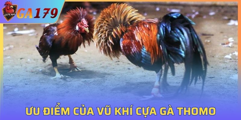 Ưu điểm của vũ khí cựa gà Thomo