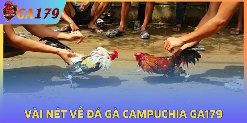 Vài nét về đá gà Campuchia GA179