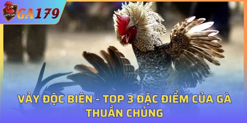Vảy Độc Biên