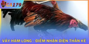 Vảy Hàm Long