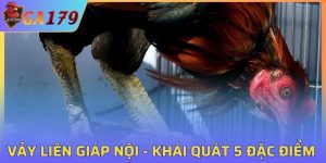 Vảy Liên Giáp Nội