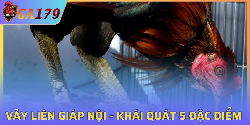 Vảy Liên Giáp Nội