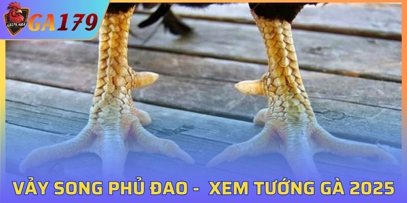 Vảy Song Phủ Đao
