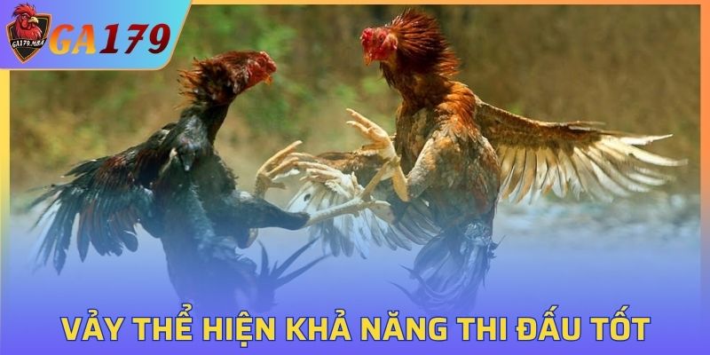 Vảy thể hiện khả năng thi đấu tốt