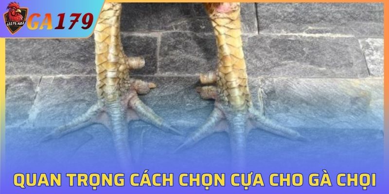 Yếu tố then chốt của phương pháp chọn vũ khí hiệu quả